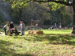 people in a park